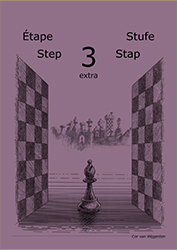 Workbook Step 3 extra